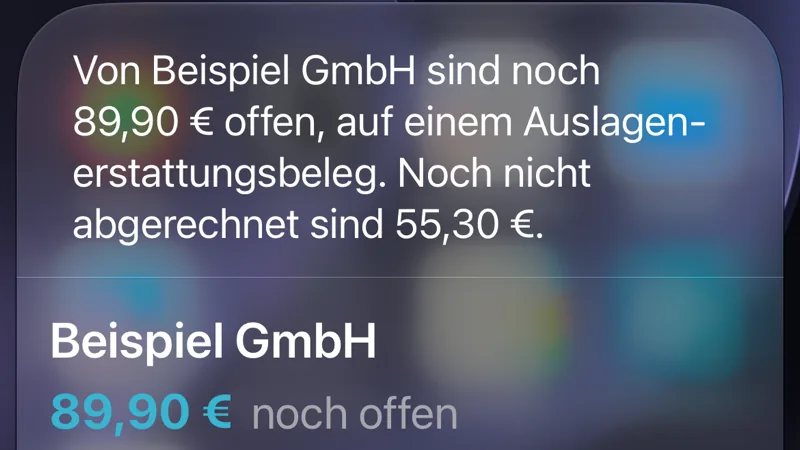 Antwort des Kurzbefehls: Von Beispiel GmbH sind noch 89,90 € offen, auf einem Auslagenerstattungsbeleg. Noch nicht abgerechnet sind 55,30 €.